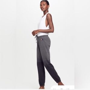 Aviator Nation Ombre Sweatpants Jogger Unisex